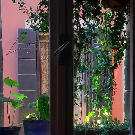 Discovery Hostel